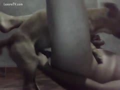 A scenario in a beastiality fetish film where a guy jerks away as a dog gazoo drills him